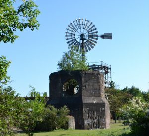 Nachhaltige Geldanlage - Nachhaltig Investieren